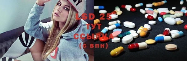 твердый Богданович