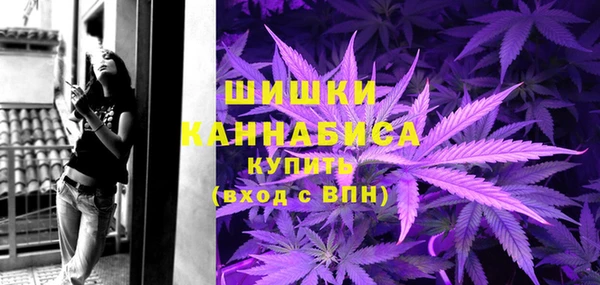 твердый Богданович