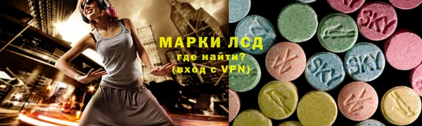 твердый Богданович