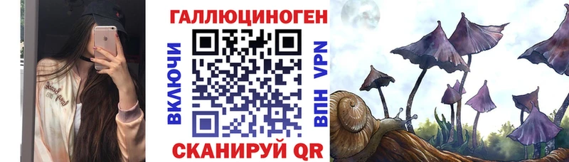 купить наркотики цена  Краснокамск  Галлюциногенные грибы MAGIC MUSHROOMS 